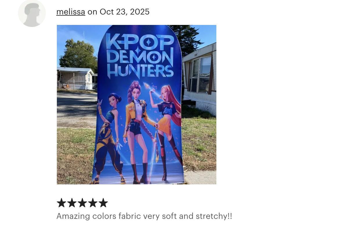 Kpop Arch Backdrop Cover Backdrop 3 pieces| Birthday Backdrop Decor| Demons Hunters